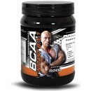 Explomax Instant BCAA 8:1:1 Professional 500 g