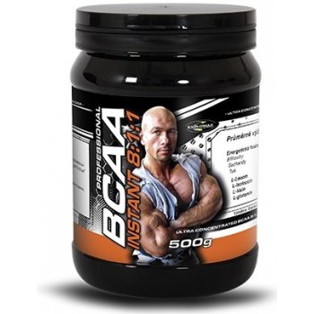 Explomax Instant BCAA 8:1:1 Professional 500 g