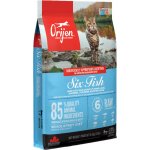 Orijen 6 FISH Cat 5,4 kg – Hledejceny.cz