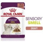 Royal Canin Sensory Smell gravy 12 x 85 g – Hledejceny.cz