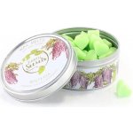 Ashleigh & Burwood Vonný vosk v krabičce WISTERIA 50 ks – Hledejceny.cz