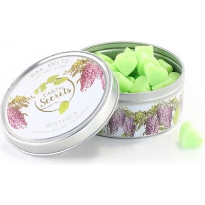 Ashleigh & Burwood Vonný vosk v krabičce WISTERIA 50 ks – Hledejceny.cz