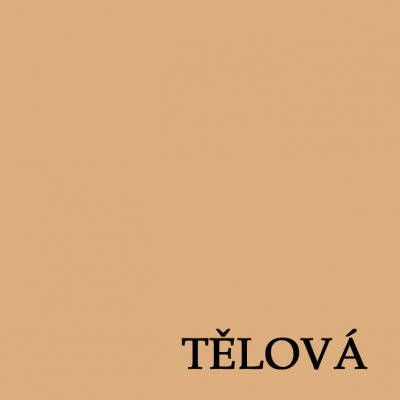 Stella Donna DENISA v.b. bezešvé kalhotky s nohavičkou francouzský střih 2 kusy tělová – Zbozi.Blesk.cz