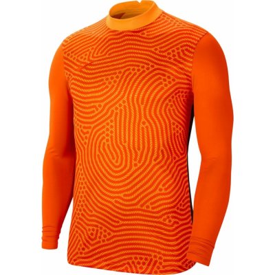 Nike Gardien III GK Jersey LS bv6711-803