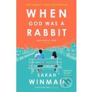 Kniha When God Was a Rabbit