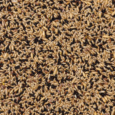 Deli Nature 50 Canaries Basic 4 kg – Hledejceny.cz