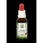 Salvia Paradise Haritaki AF tinktura 30 ml – Hledejceny.cz