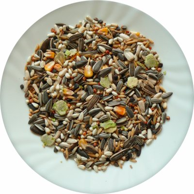 Avicentra Classic Velký papoušek 5 kg – Zboží Mobilmania