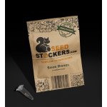 Seedstockers Sour Diesel AUTO semena neobsahují THC 5 ks – Zboží Dáma
