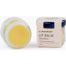 Balzám na rty A-Derma Original Care balzám na rty v tyčince Lip Balm 4 g