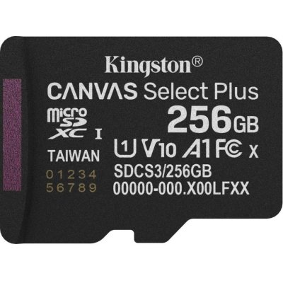 Kingston MicroSDXC 256GB Canvas Select Plus SDCS3/256GBSP – Zboží Živě