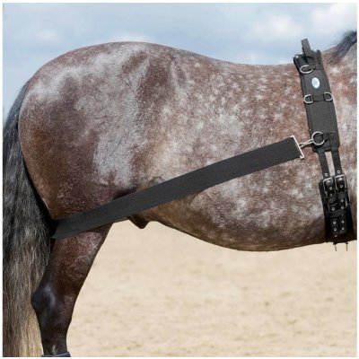 USG Lonžovací popruh Lehmann černý – Sleviste.cz