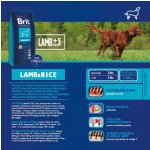 Brit Premium Lamb & Rice 15 kg – Hledejceny.cz