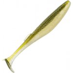 Rapala Crushcity The Kickman AYU 10,00 cm – Zbozi.Blesk.cz
