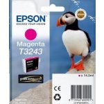 Epson T3243 - originální – Sleviste.cz