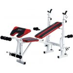 Spartan Bench Lavička + bicepsový pult 1514 – Hledejceny.cz