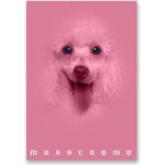 Pigna Školní sešit Monocromo Pink A4 linkovaný – Sleviste.cz