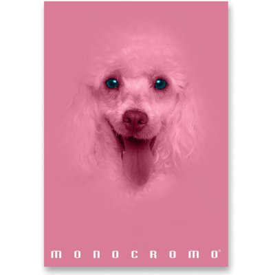 Pigna Školní sešit Monocromo Pink A4 linkovaný – Sleviste.cz