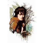 ZUTY Malování podle čísel MALOVANÝ FRODO PÁN PRSTENŮ Rozměr 40 x 50 cm Rámování bez rámu a bez vypnutí plátna – Sleviste.cz