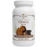 ST.MARIA Chaga 500 mg Čaga sibiřská 180 kapslí – Hledejceny.cz