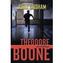 Theodore Boone 3 - Obžalovaný