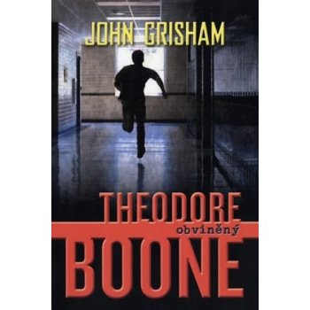 Theodore Boone 3 - Obžalovaný