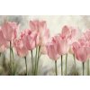 Obraz Růžové tulipány 2 obraz na desce 1 deska 90x60