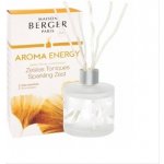 Maison Berger Paris difuzér Aroma Energy 180 ml – Zbozi.Blesk.cz