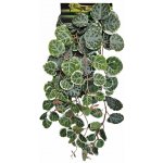Repto Plant Hanging Round Leaves 46 cm – Zboží Dáma