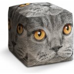 Sablio Taburet Cube Kočičí pohled: 40x40x40 cm – Sleviste.cz