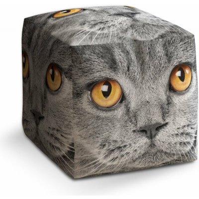 Sablio Taburet Cube Kočičí pohled: 40x40x40 cm – Sleviste.cz