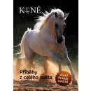 Koně - Příběhy z celého světa - nemá autora