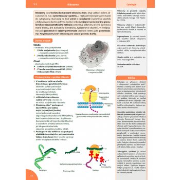 Memorix Histologie - 2. vydání - Radovan Hudák, Ivan Varga, Zbyněk Tonar, Jan Balko