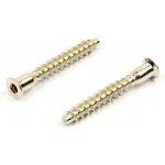 Konfirmát 3,0 mm, 7x50 mm, hrubý závit, nikl – Hledejceny.cz