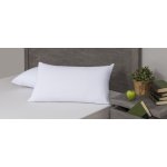 Velfont Polštářový chránič HPU Babylon froté Bambus 50 x 70 cm – Hledejceny.cz