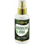 Purity Vision Bio Borovicová voda 100 ml – Hledejceny.cz