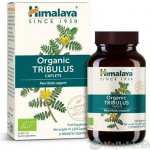 Himalaya Tribulus 60 kapslí – Hledejceny.cz