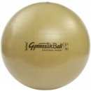 Ledragomma Gymnastik Ball BIOBased 65 cm