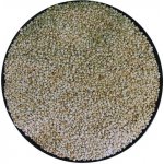 iPlody Quinoa bílá 1 kg – Sleviste.cz