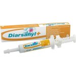 Ceva Diarsanyl pasta 10 ml – Zboží Mobilmania