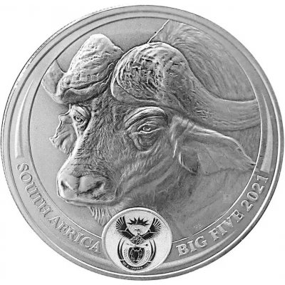Rand Refinery Stříbrná mince Buvol Big Five 2021 1 oz – Hledejceny.cz