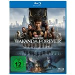 Black Panther: Wakanda Forever BD – Hledejceny.cz