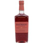 Hayman's Sloe Gin 26% 0,7 l (holá láhev) – Zboží Dáma