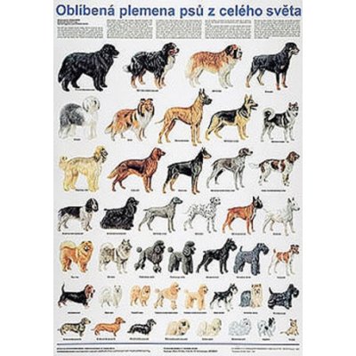 Plakát - Oblíbená plemena psů z celého světa – Hledejceny.cz