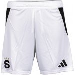 Šortky adidas ACSP H SHO Y 2024/25 it4382 – Zbozi.Blesk.cz