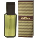 Antonio Puig Quorum toaletní voda pánská 100 ml – Hledejceny.cz