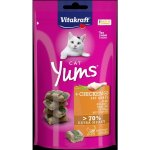 Vitakraft Cat Yums Kuře & kočičí tráva 40 g – Sleviste.cz