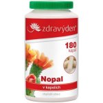 Zdravý den Nopal 180 kapslí – Hledejceny.cz