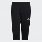 adidas Entrada 22 3/4 panty HB0576 – Zbozi.Blesk.cz