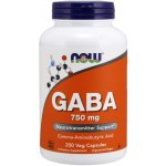 Now Foods GABA kyselina gama-aminomáselná 750 mg 200 rostlinných kapslí – Hledejceny.cz